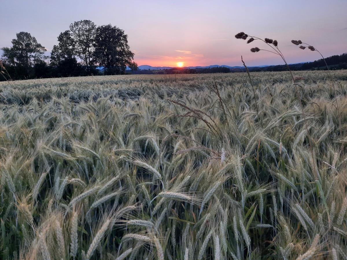 Grainmeisterhof Niederwaldkirchen Exterior foto
