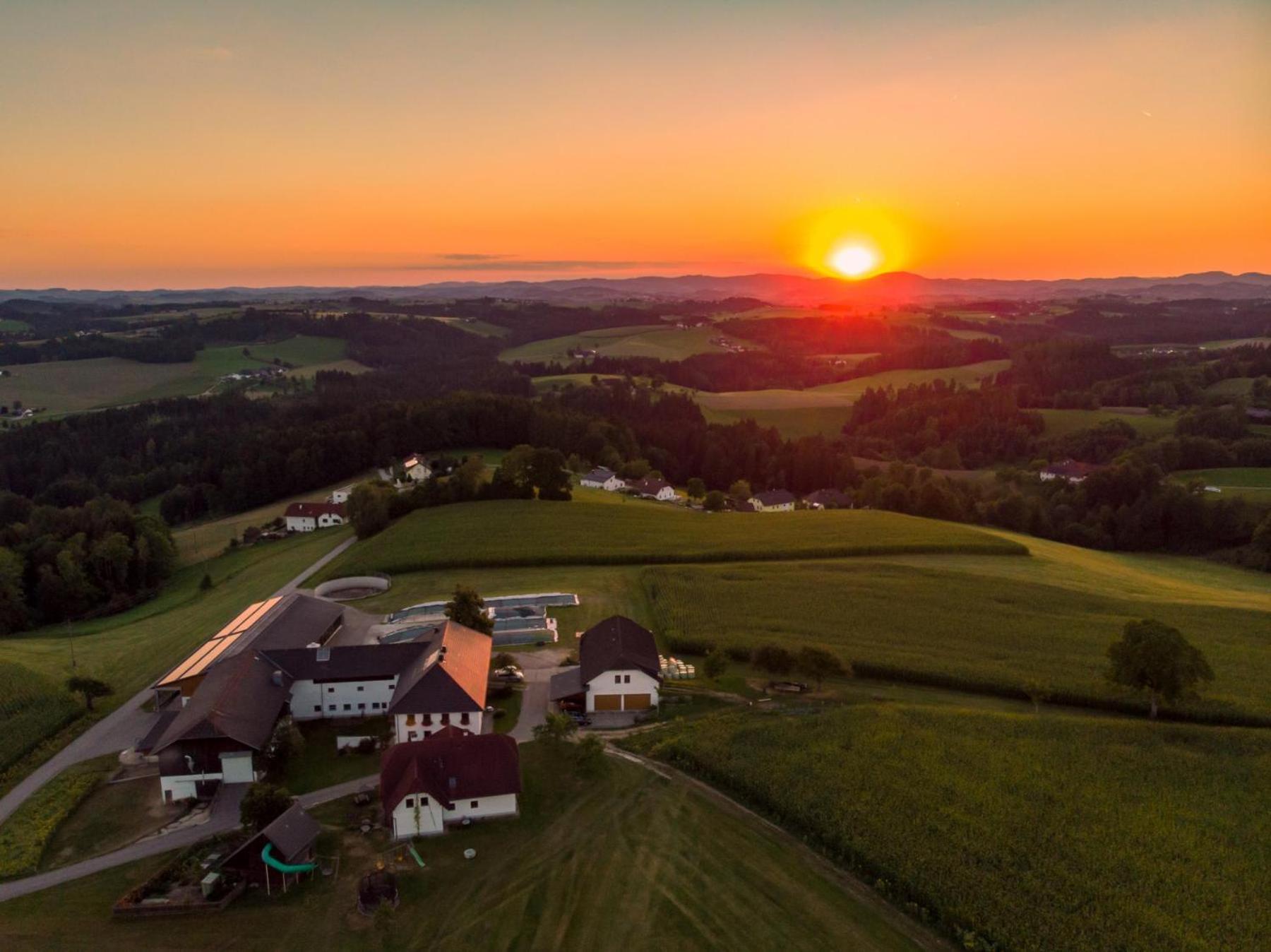 Grainmeisterhof Niederwaldkirchen Exterior foto